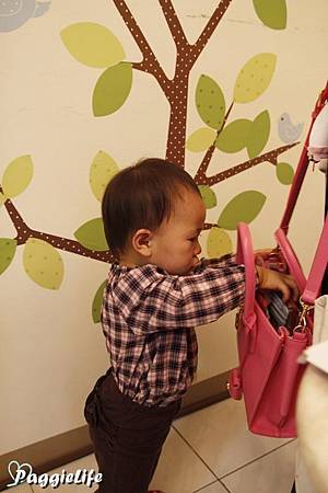 _MG_4305 _MG_4305