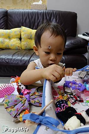 DSC00279 DSC00279