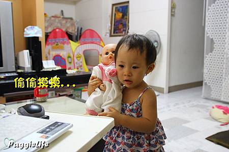 a1 IMG_5585 a1 IMG_5585