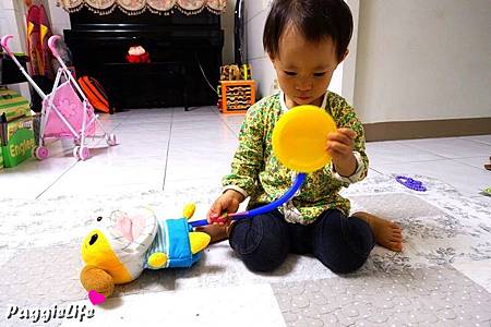 a1 DSC02843 a1 DSC02843