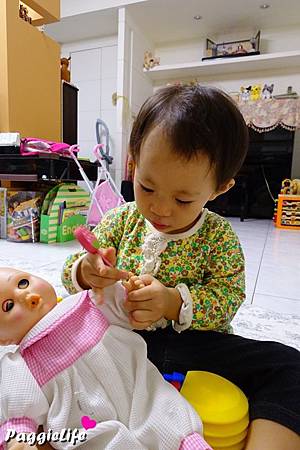 a1 DSC02862 a1 DSC02862