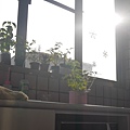 P1020913.JPG