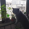 P1020917.JPG