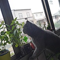 P1020927.JPG