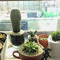 IMAG3267_1.jpg