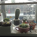 IMAG3298.jpg
