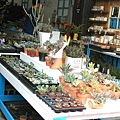IMAG3940_1.jpg