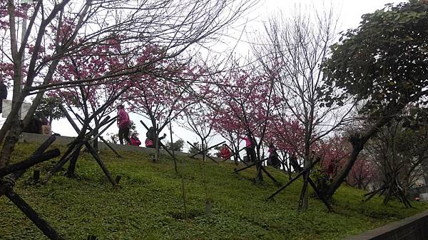 20160216-9.jpg 20160216-9.jpg