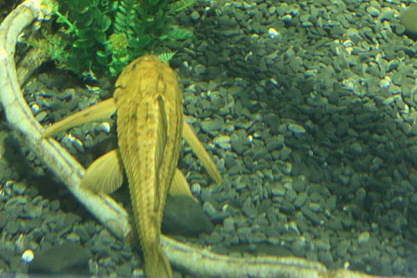 1312162244718cc50be60da2e7