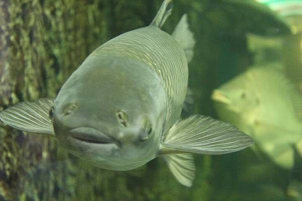 131216224425578508c0c5c060