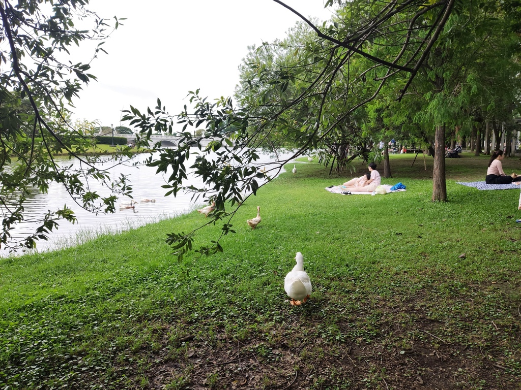 奇美博物館野餐.jpg