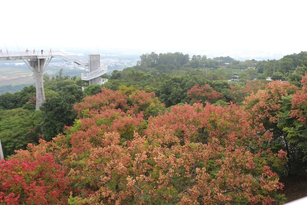 岡安之眼風景.JPG