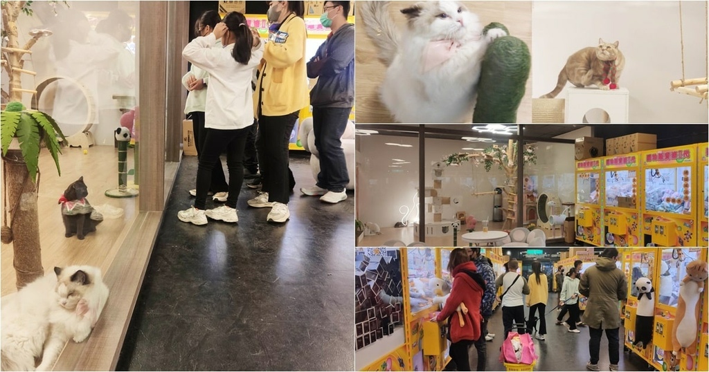 老虎蜜蜂遊樂園永康直營店 (3).jpg 老虎蜜蜂遊樂園永康直營店 (3).jpg