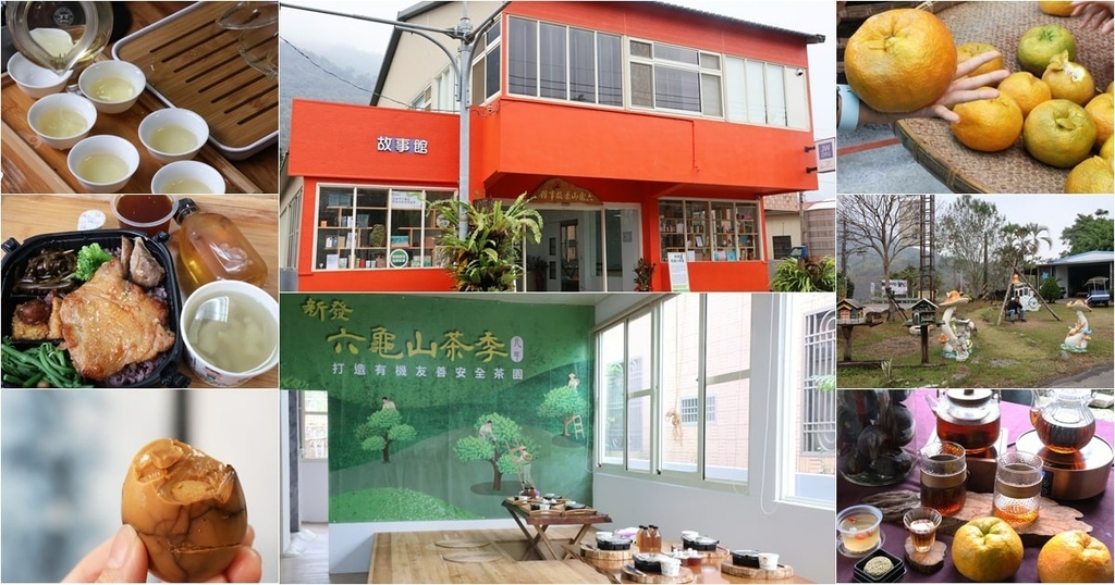 六龜山茶 (42).jpg 六龜山茶 (42).jpg
