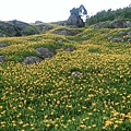 小瑞士山頭.jpg