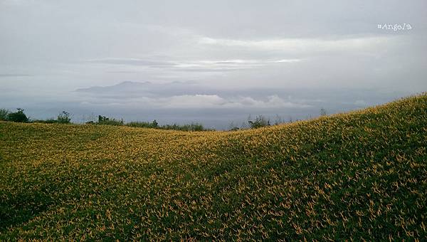 山景.jpg