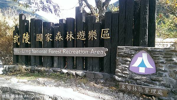 國家森林遊樂區.jpg