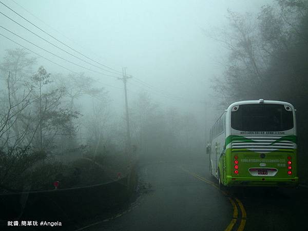 霧氣重.jpg