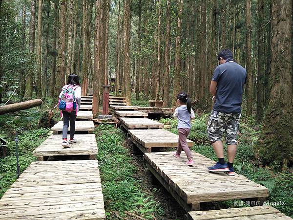 明池明池森林遊樂園-蕨園.jpg