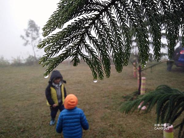 IMG20170115133743.jpg IMG20170115133743.jpg