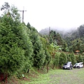 IMG_5631.JPG
