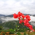 IMG_5762.JPG