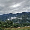 IMG20171119101244