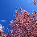 IMG_3555.JPG