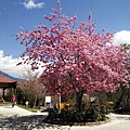 IMG20180226102803.jpg