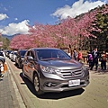 IMG20180226111941.jpg