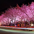 IMG_2598.JPG