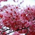 IMG_2685.JPG
