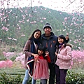 IMG_2781--.JPG