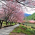 IMG_2887-01.jpeg