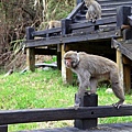 IMG_3007.JPG