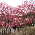 IMG_3045.JPG