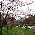 IMG_3187.JPG