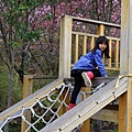IMG_3259.JPG