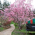 IMG_3254.JPG