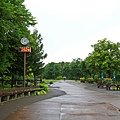 IMG_4749.JPG