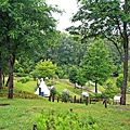 IMG_4798.JPG