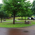 IMG_4852.JPG