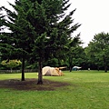 IMG20180815101230.jpg
