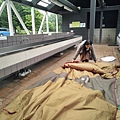 IMG20180816085649.jpg