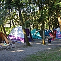 IMG_8805.JPG
