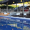 IMG_8768.JPG