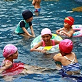 IMG_8565.JPG