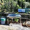 IMG_8328.JPG