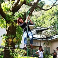 IMG_8404.JPG