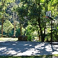 IMG_8308.JPG
